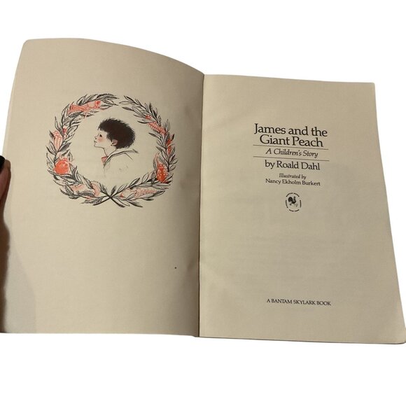 Vintage James And The Giant Peach By Roald Dahl Paperback Book 1978 Illustrated - Picture 4 of 4